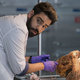 Illustration for article titled iiZombie/i manages an unmanageable amount of plot by making it fun